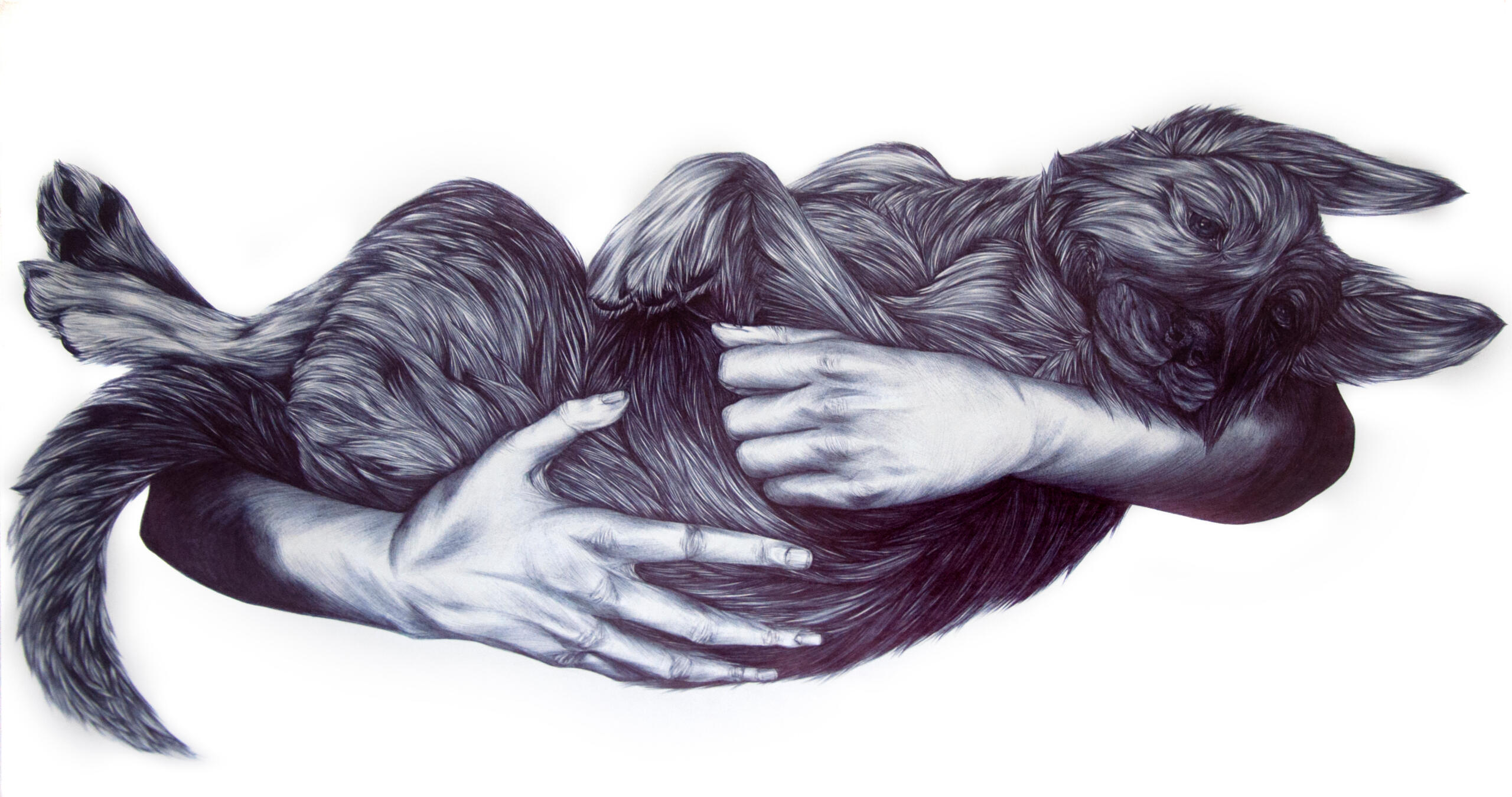 ball point pen on poster board