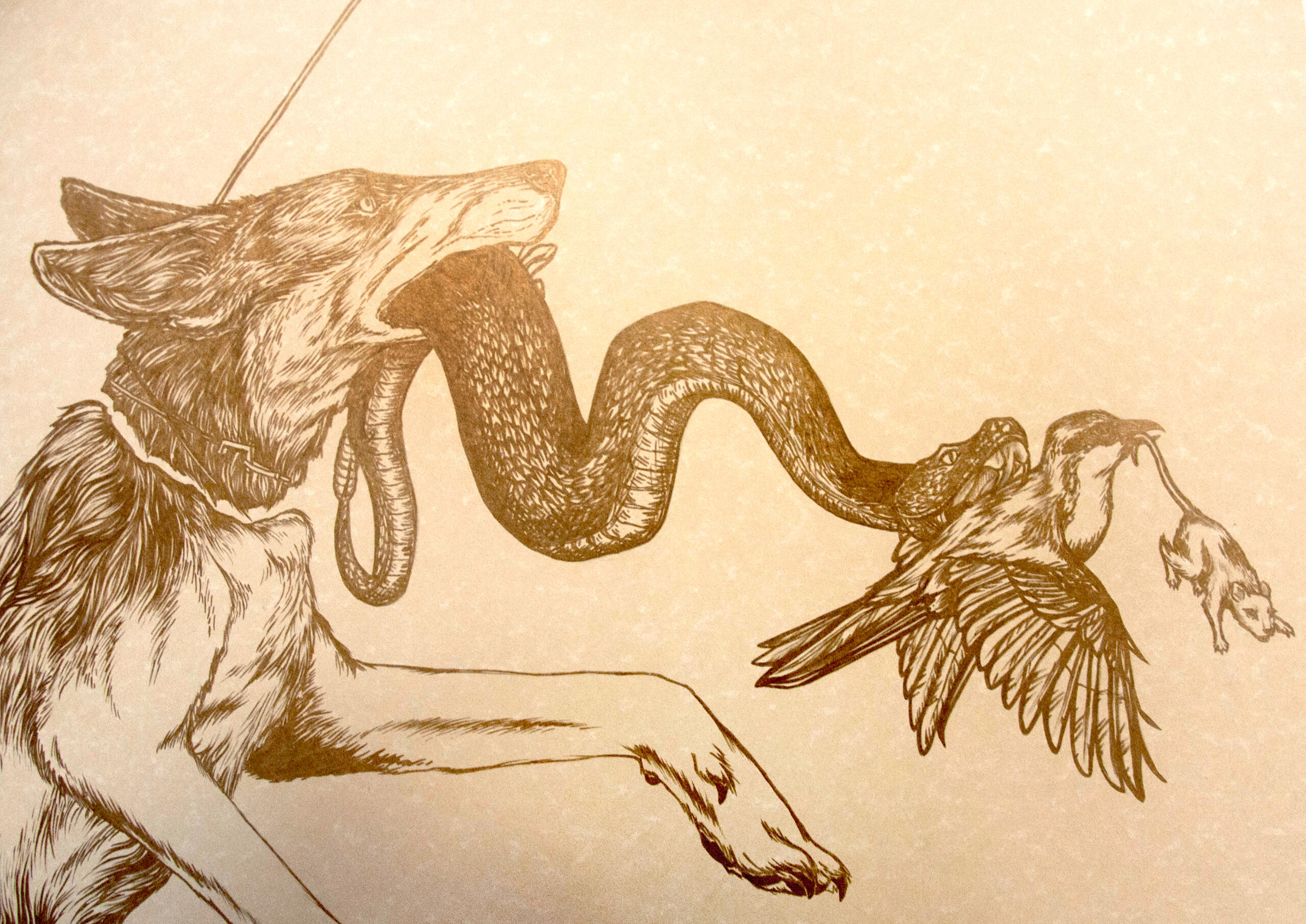 metallic paint marker on poster board