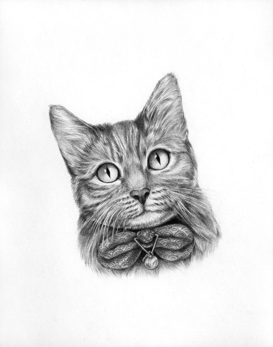 Cat 2024